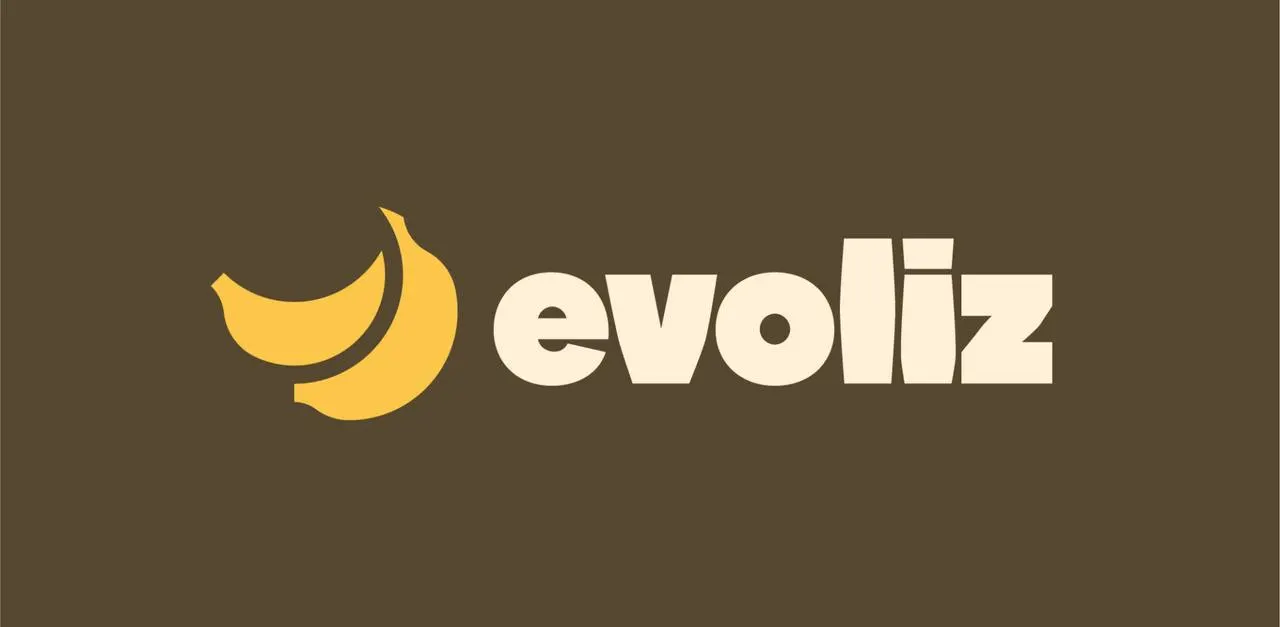 Evoliz screenshot